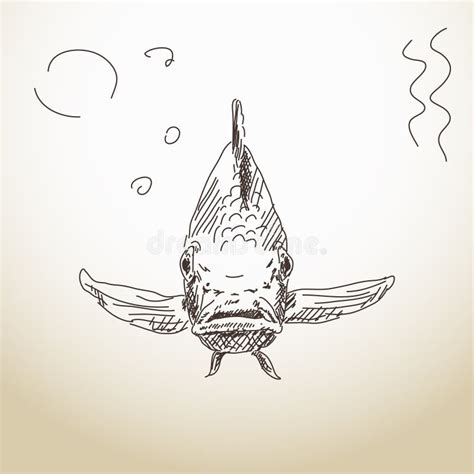 Fish front view Vectors & Illustrations for Free Download .